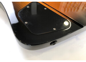 Gibson Thunderbird IV (11458)