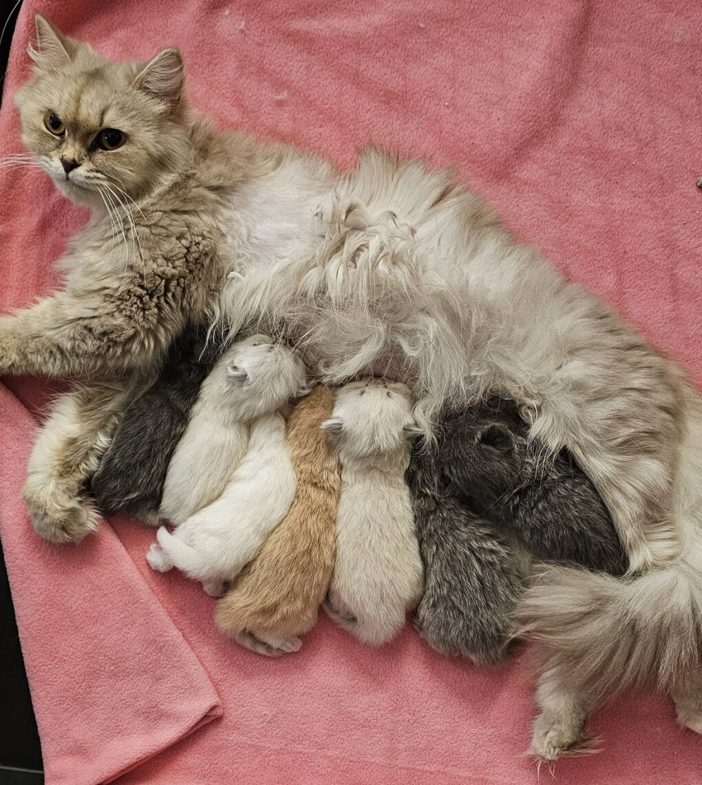 6137700.jpg 6137700.jpg