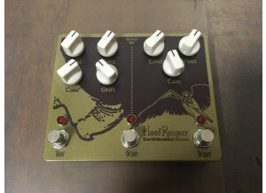 EarthQuaker Devices Hoof Reaper V2 (8299)