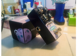 Pigtronix Moon Pool (71788)