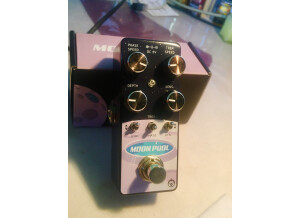 Pigtronix Moon Pool (21679)