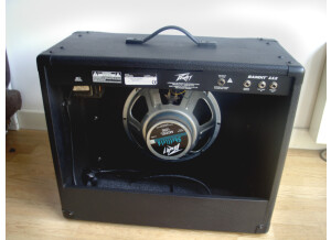 Peavey Bandit 112 (Discontinued) (81822)