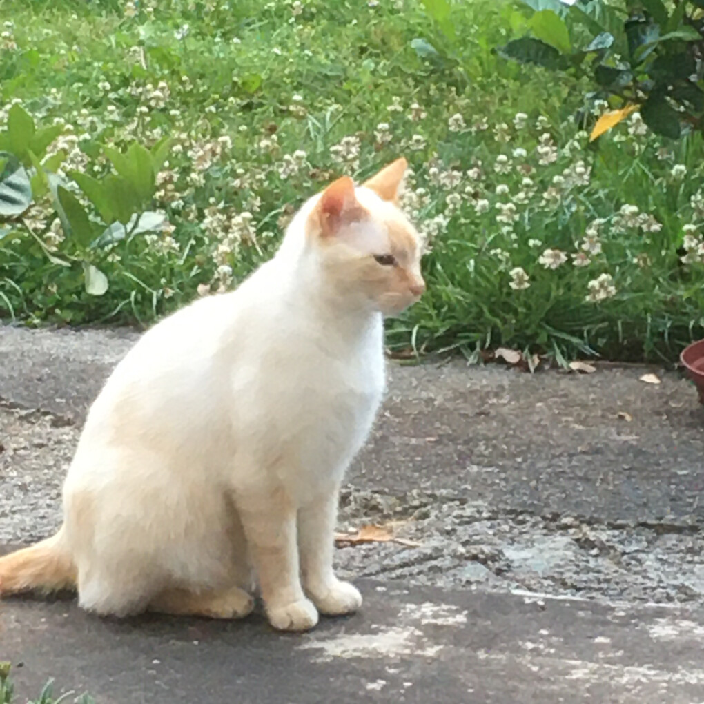 6142413.jpg 6142413.jpg