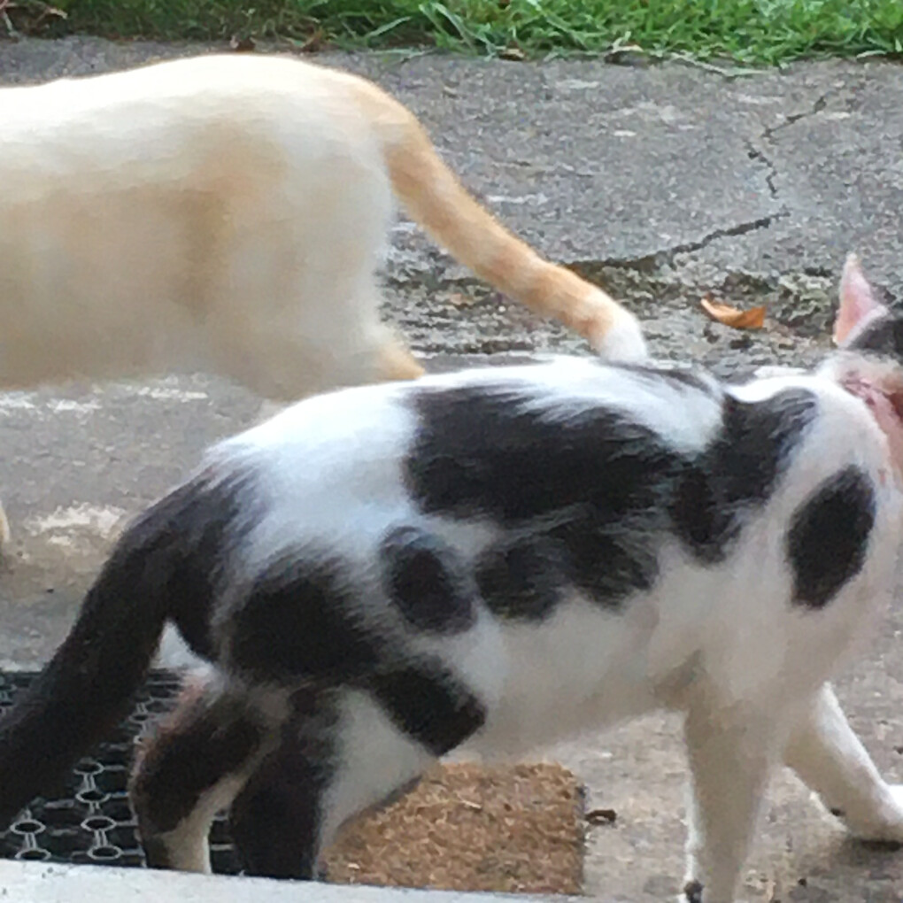 6142414.jpg 6142414.jpg