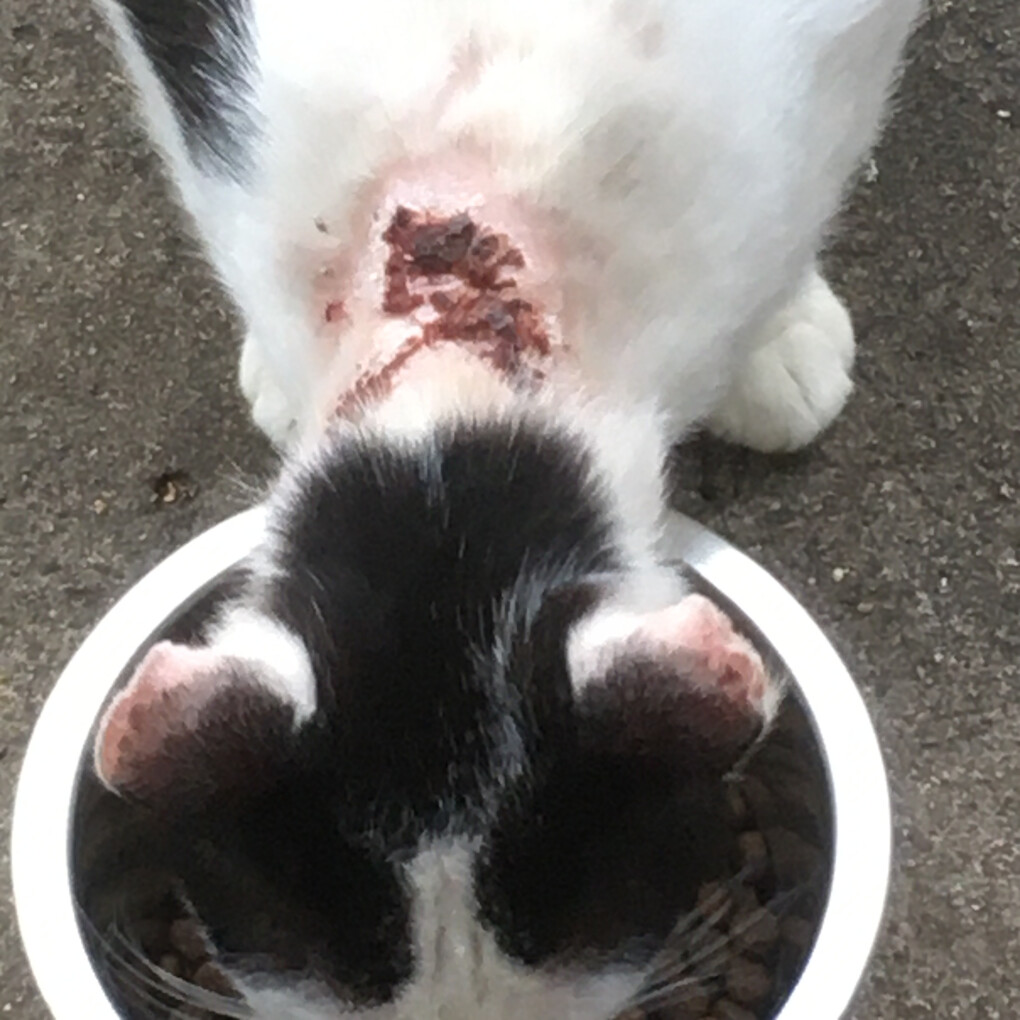 6142416.jpg 6142416.jpg