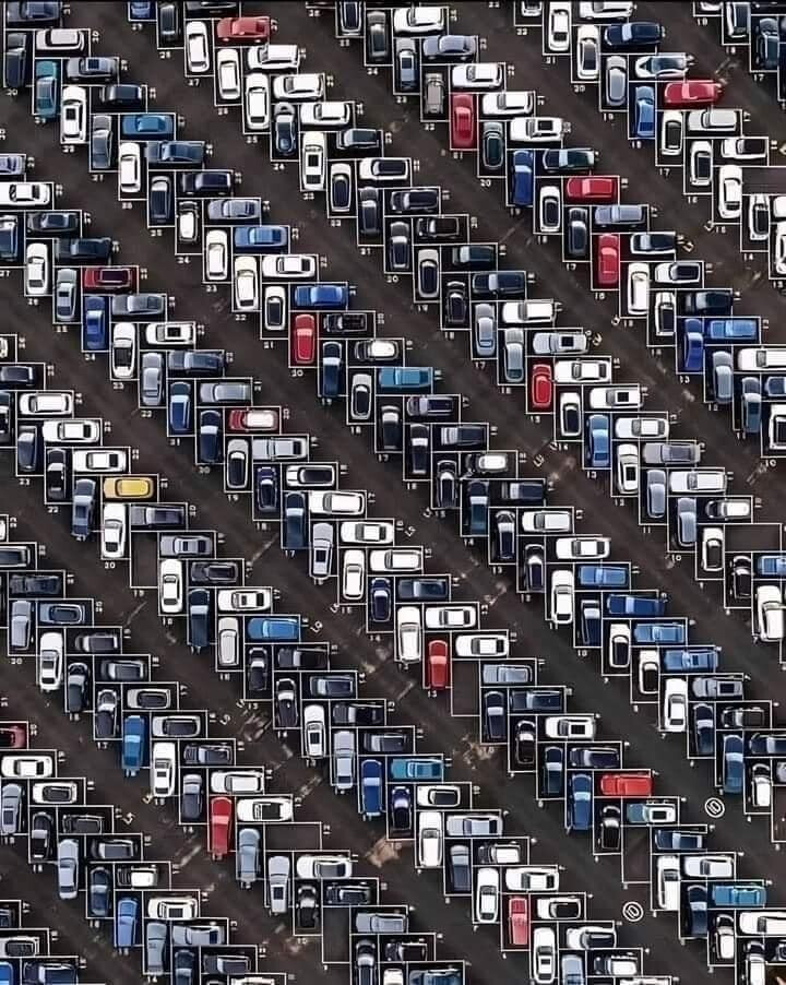 6143172.jpg 6143172.jpg