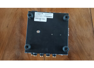 DV Mark Raw Dawg 60 (69981)