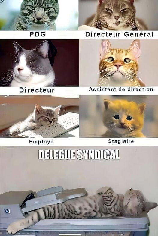 6144640.jpg 6144640.jpg