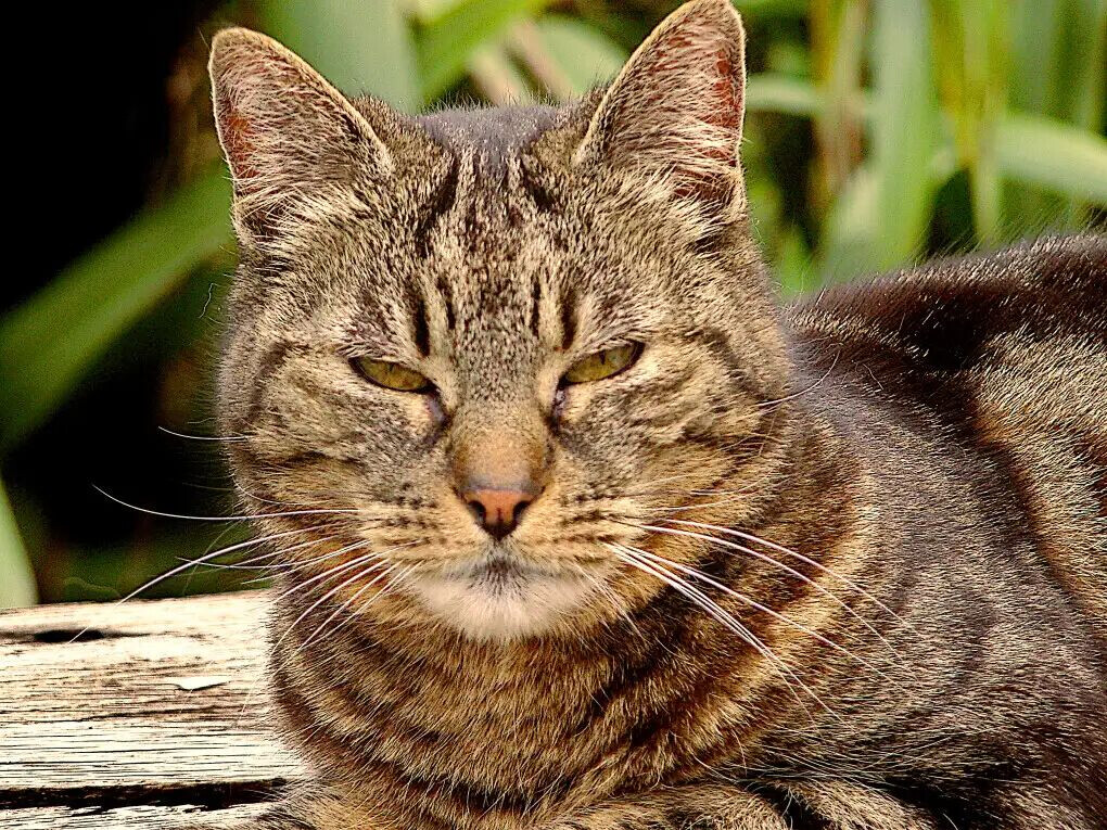 6144790.jpg 6144790.jpg