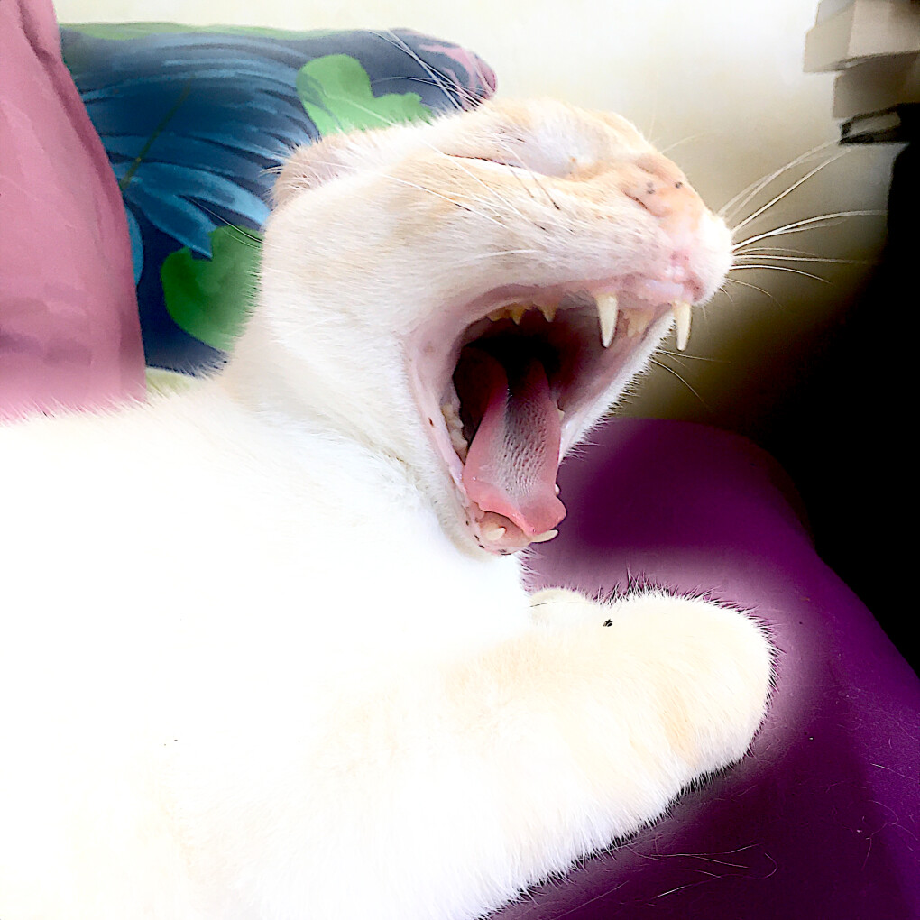 6145056.png 6145056.png