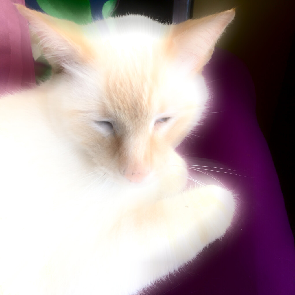 6145057.jpg 6145057.jpg