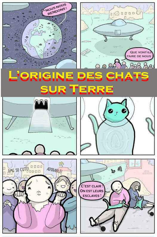 6145244.jpg 6145244.jpg