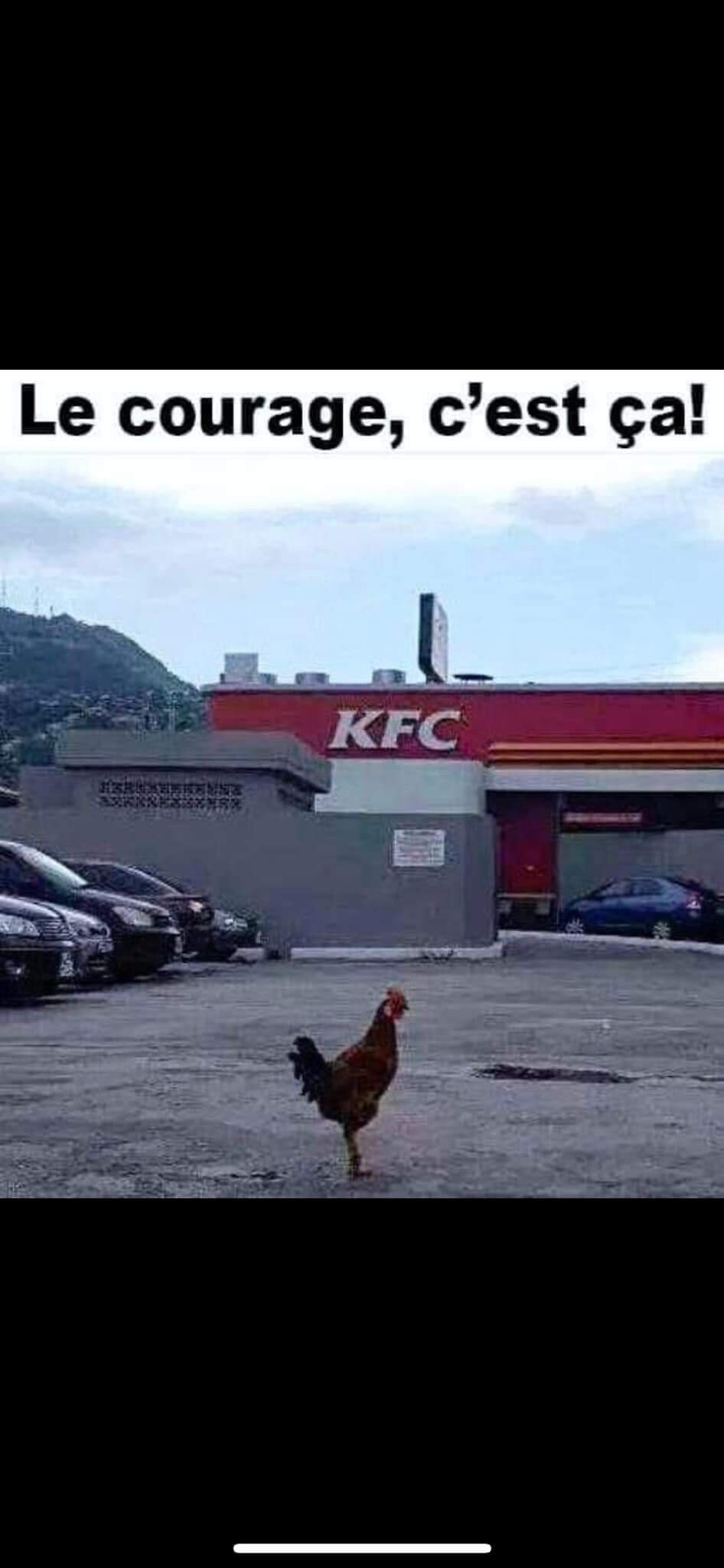 6145821.jpg 6145821.jpg