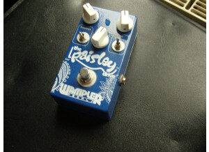 Wampler Pedals The Paisley Drive (49577)