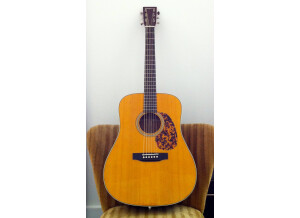 Tanglewood TW40 D AN E (4793)