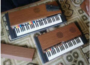 450159728 1182930726464548 2039649452325163546 n