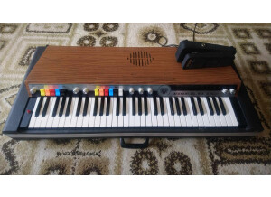 450301514 1169066201071168 4117161994466460163 n