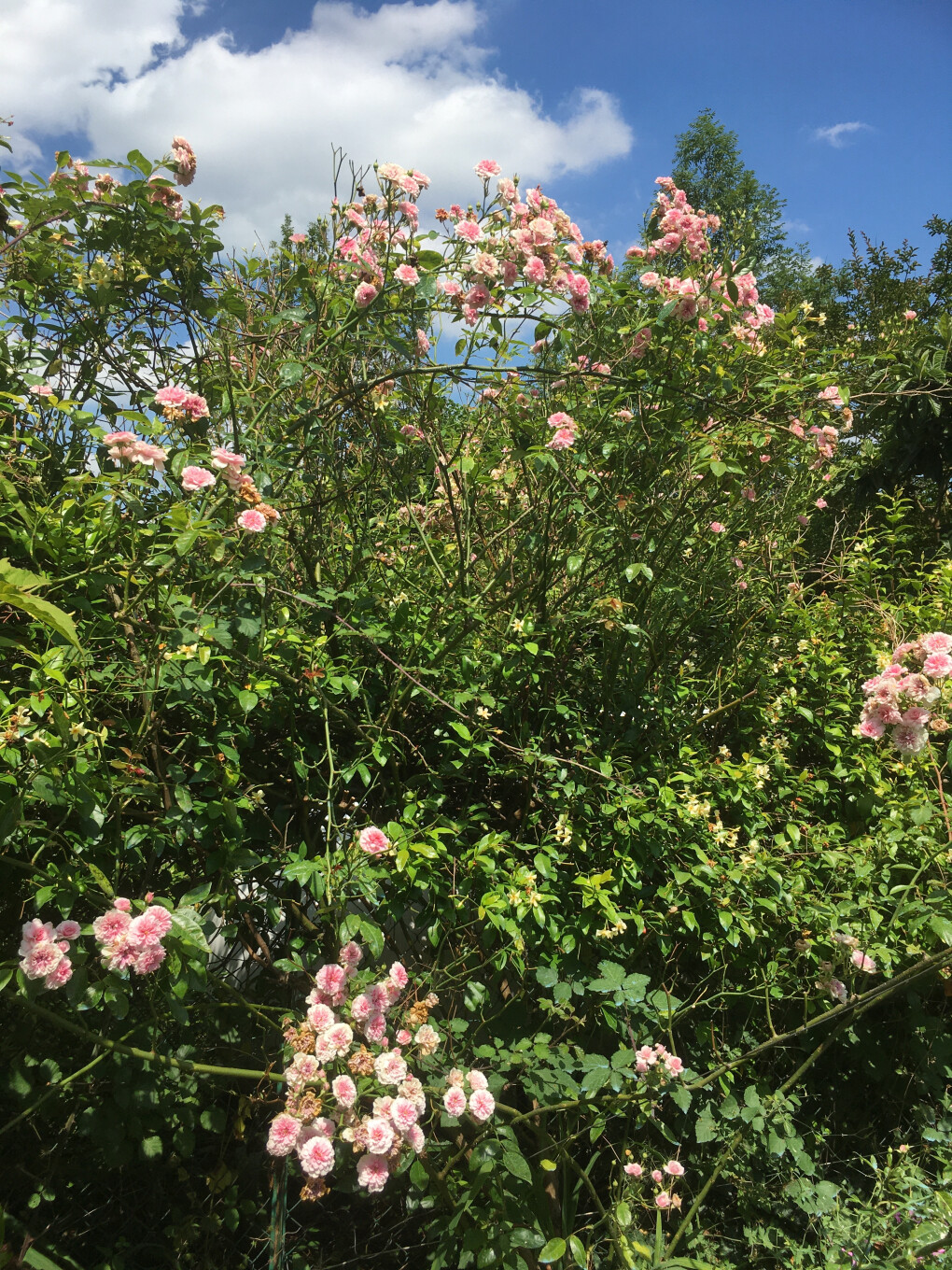 6147345.jpg 6147345.jpg