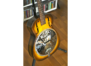 Gibson DM-33 (9383)