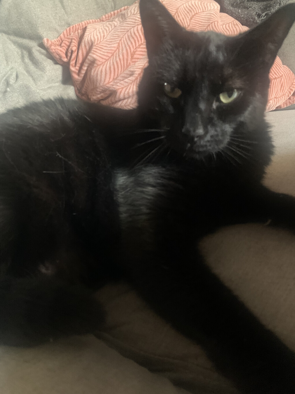 6149286.jpeg 6149286.jpeg