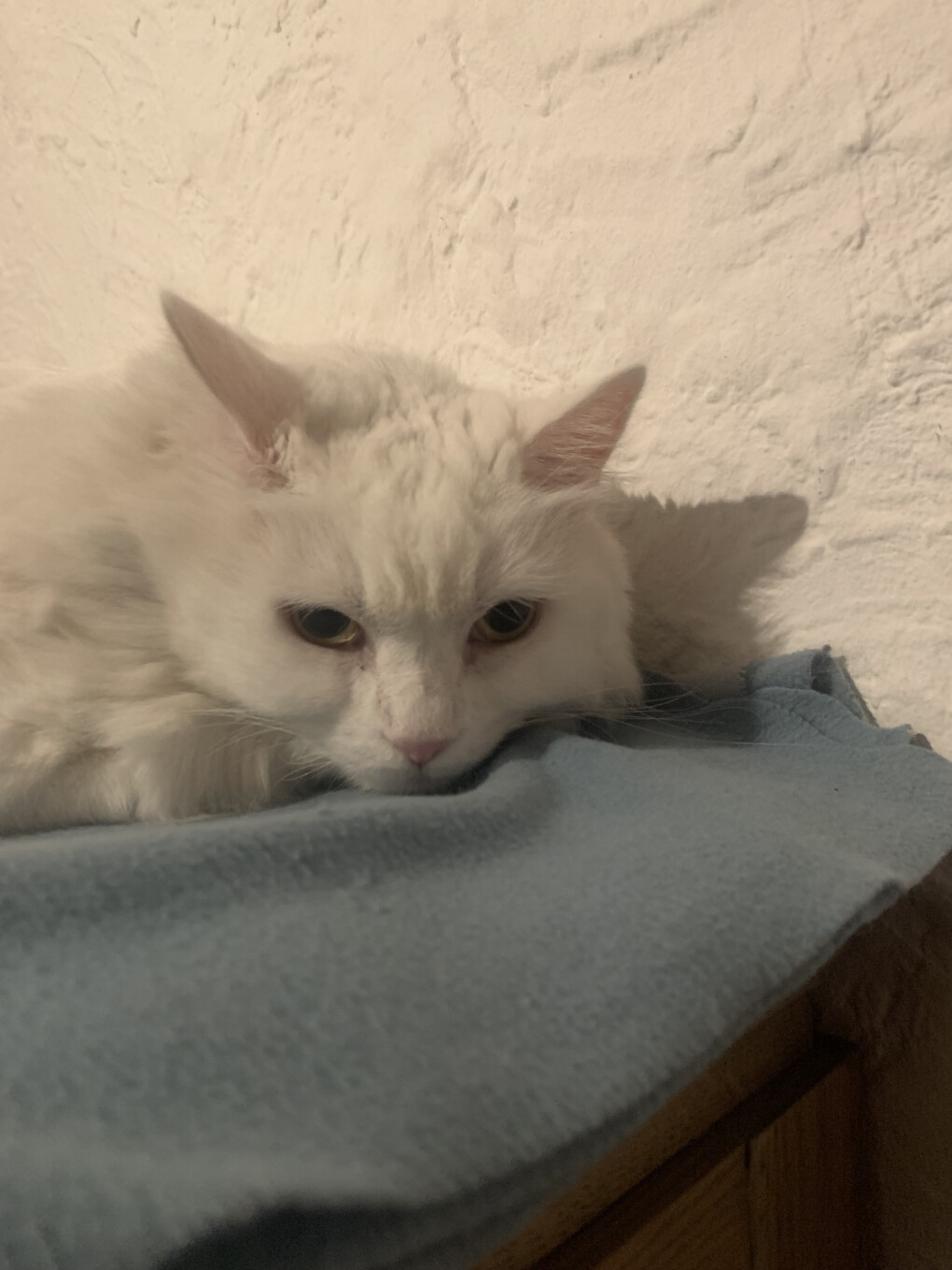 6149287.jpeg 6149287.jpeg