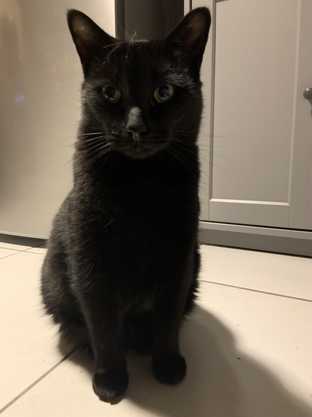 6149333.jpeg 6149333.jpeg