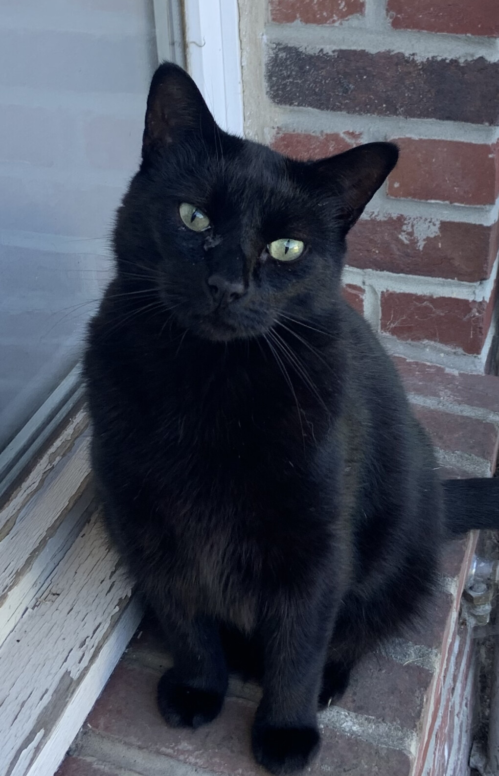 6149334.jpeg 6149334.jpeg