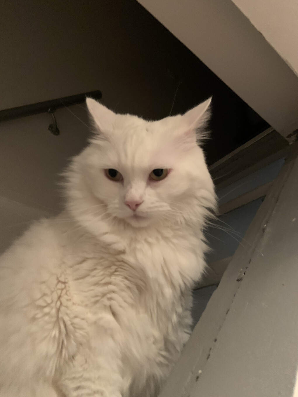 6149335.jpeg 6149335.jpeg