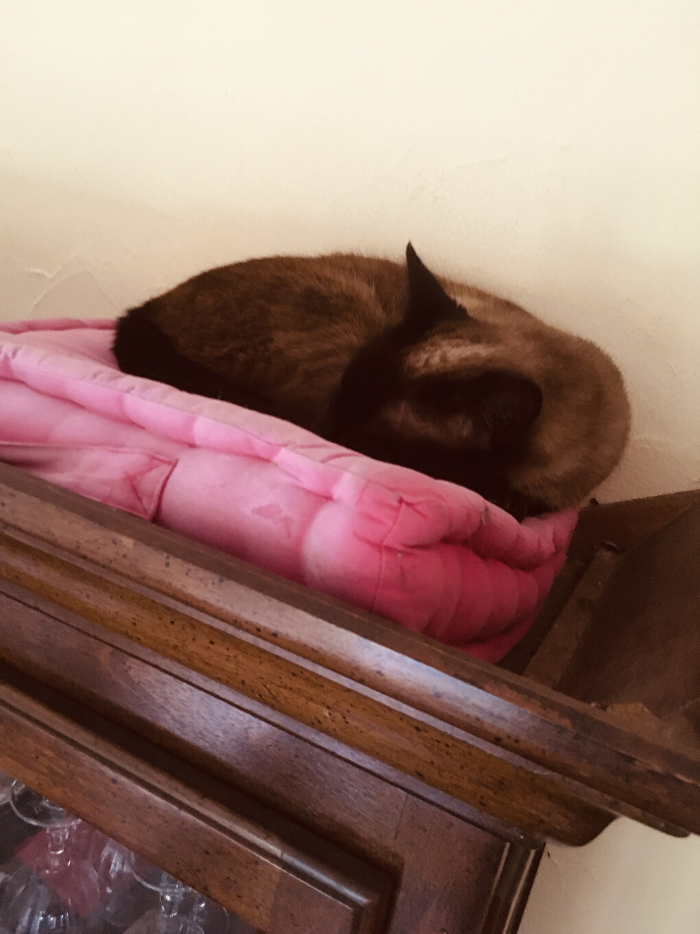 6149390.jpg 6149390.jpg