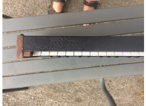 EMS DK2 Duophonic (81371)