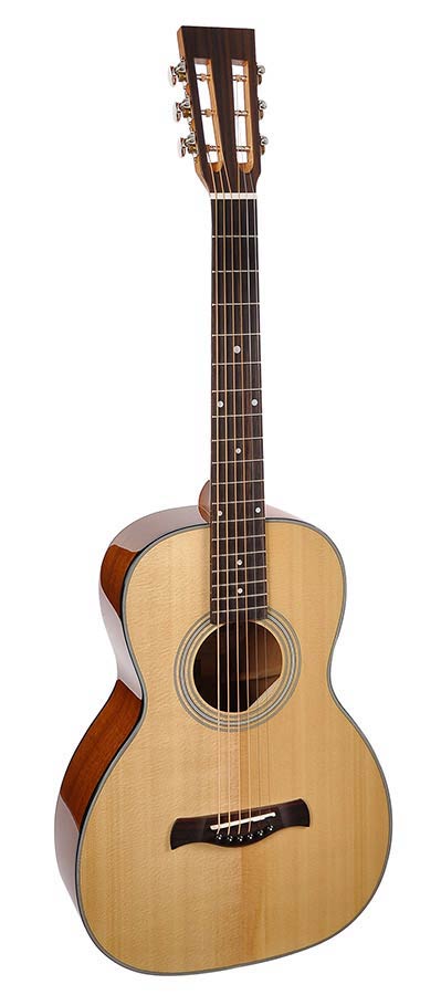 Richwood Guitars P-40