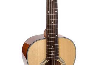 Richwood Guitars P-40