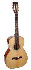 Richwood Guitars P-40