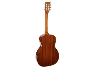 Richwood Guitars P-40 (90545)