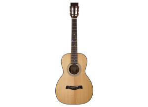 Richwood Guitars P-40 (74612)