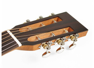 Richwood Guitars P-40 (5693)