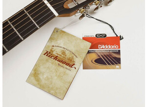 Richwood Guitars P-40 (86190)