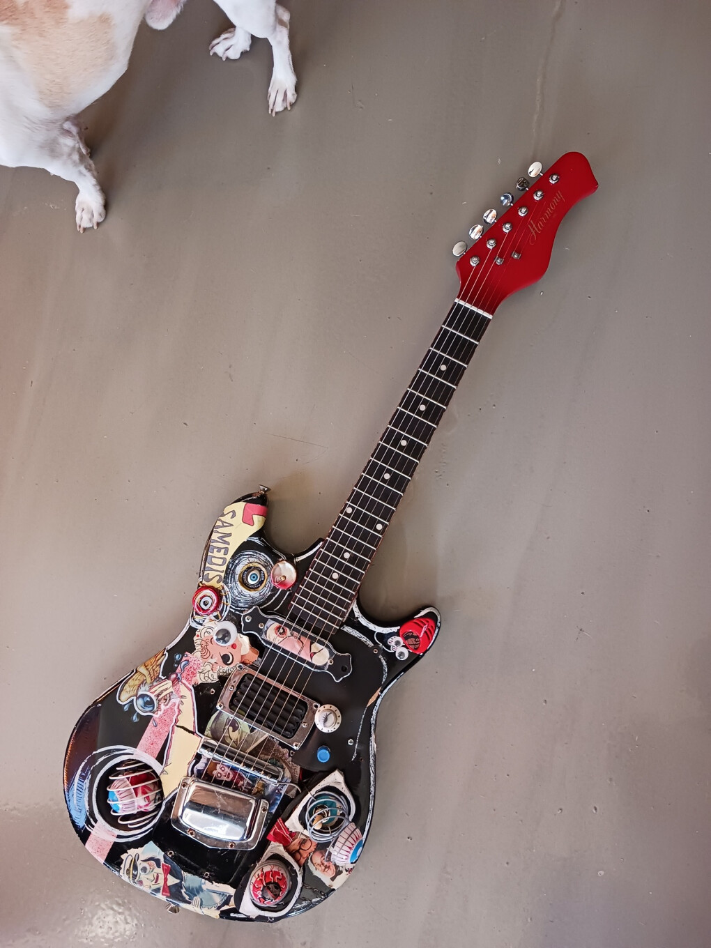 6150538.jpg 6150538.jpg