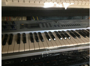 Roland JX-305 (53401)
