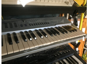 Roland JX-305 (4891)