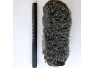 Sanken CS-2 (15544)