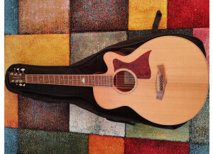 Tanglewood TW145 SS CE (12954)