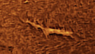 6153534.png 6153534.png