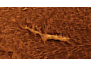 Capture d’écran 2024-07-17 à 16.12.30