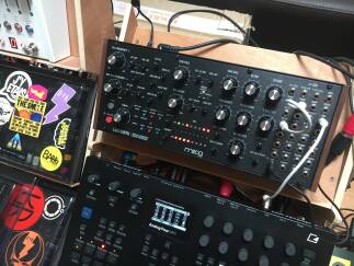 Moog Music Labyrinth