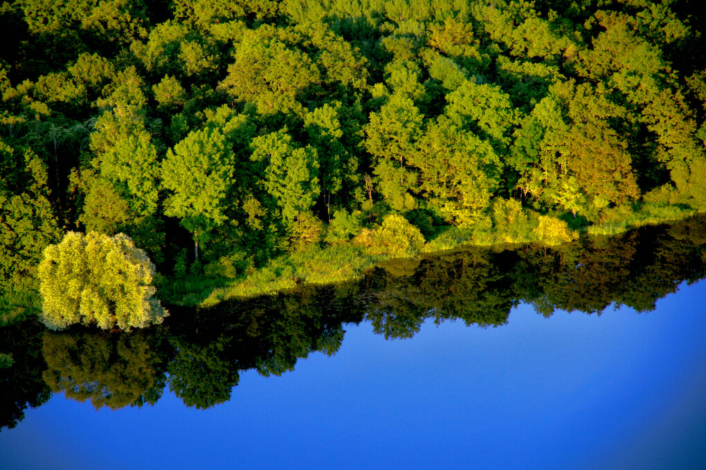 6153888.jpg 6153888.jpg