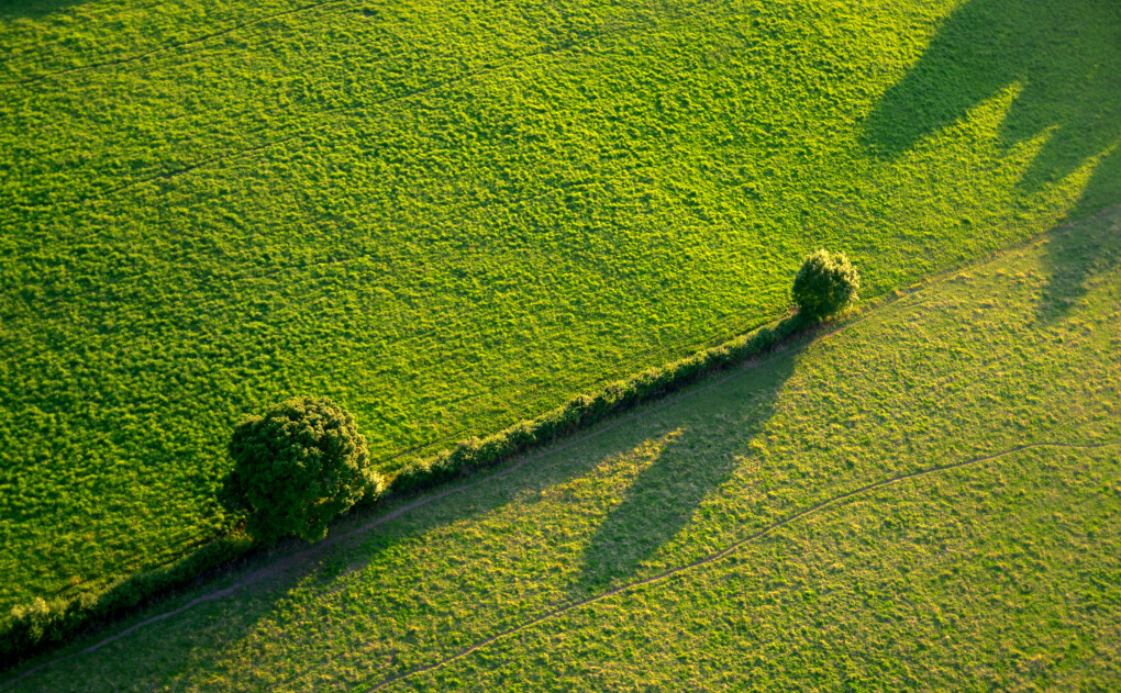 6153891.jpg 6153891.jpg