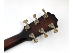 Taylor Builder's Edition 324ce (13397)