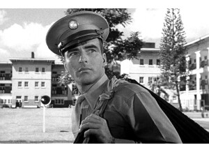 image 2024-07-19 161638108