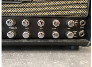 Mesa Boogie Recto-Verb 25 Head (79777)